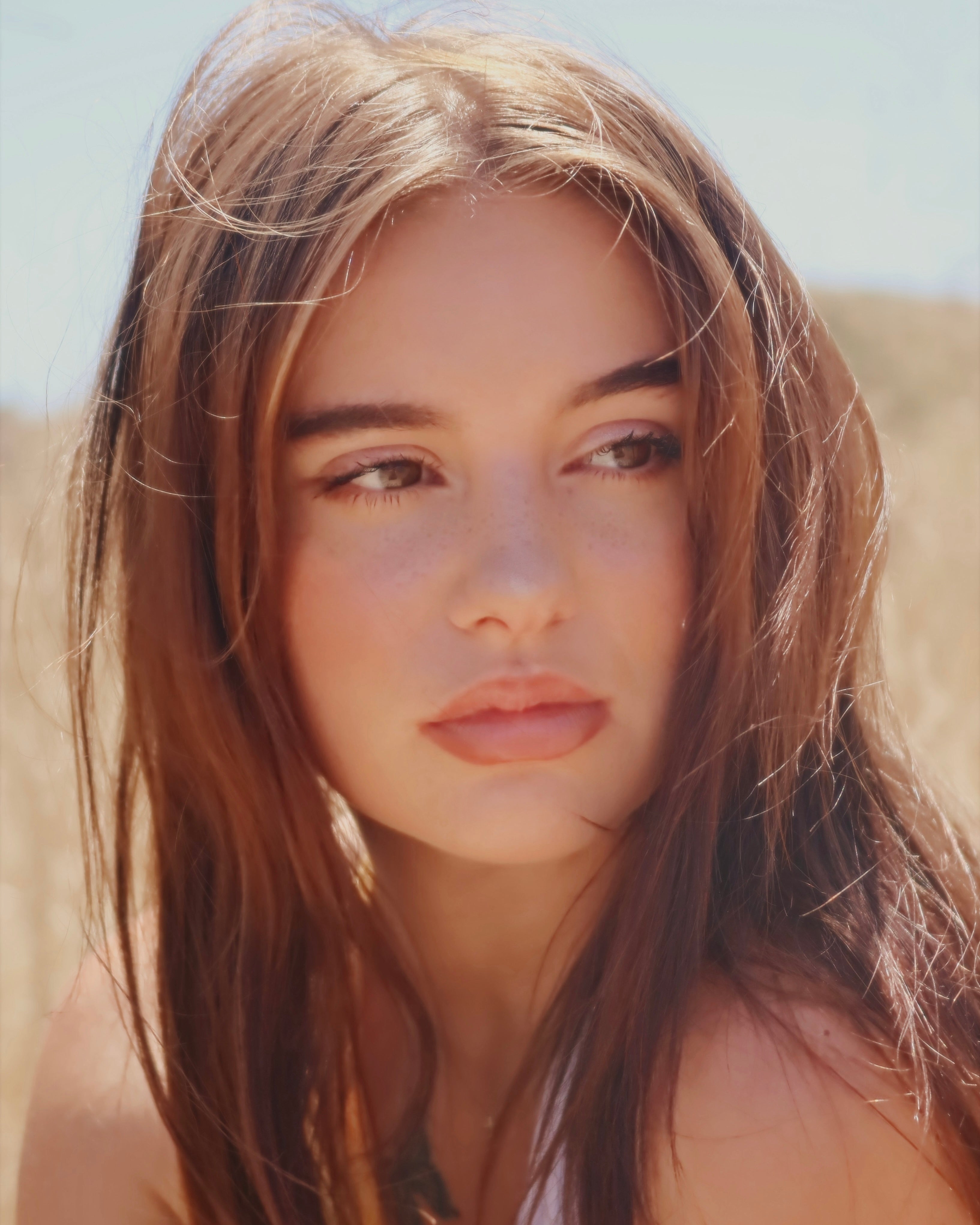 Autumn Joy Noel